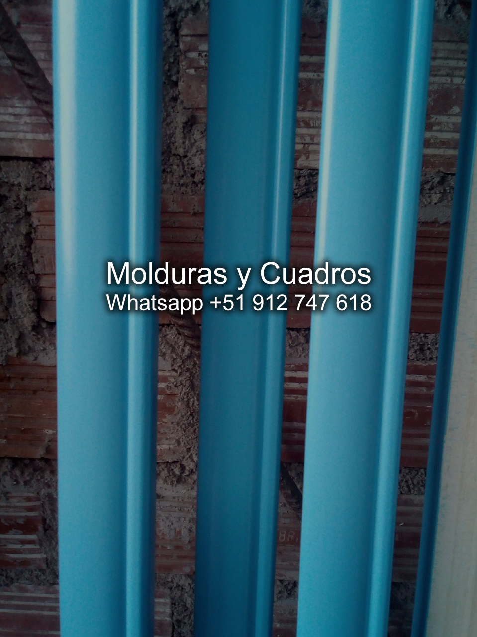 moldura palmera para cuadro 